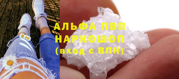 дживик Белокуриха