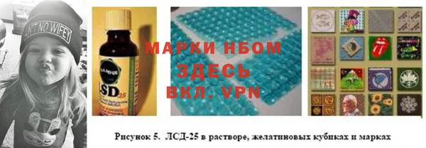 дживик Белокуриха
