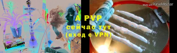 дживик Белокуриха