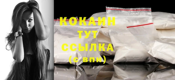гидра Белоозёрский