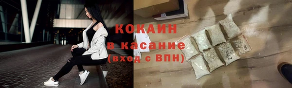 дживик Белокуриха