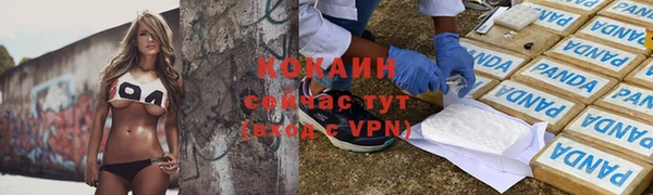 дживик Белокуриха