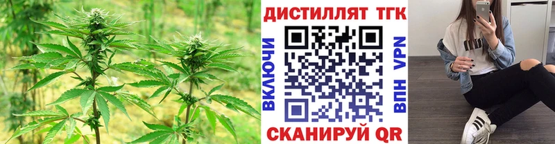 где можно купить   Энем  ТГК концентрат 