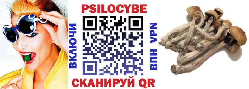 где купить наркотик  Энем  Галлюциногенные грибы мухоморы 